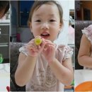 노른자 PC 이미지