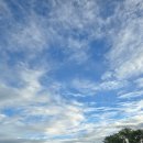 철수세탁방 이미지