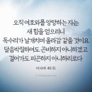 2026.9.11.금 새벽예배(사 40:31, 주를 앙망하는 것의 의미) 이미지