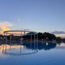 뚝섬한강공원-51 | 8월 일상공유 뚝섬 한강 수영장 &amp; 강동 이케아 다녀온 후기를 이제 끨여옴