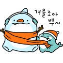 온천충무김밥 네이버블로그