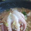 UR(의정부시)-[호국로]-상-596 | 의정부 애견동반 식당 맛집 밀박칼국수