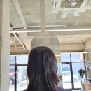 그때 그 미용실 | [예쁨] 다사 미용실 그때그미용실 디자이너 가은 컷트&모발클리닉 후기
