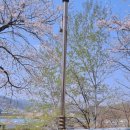 꽃잎어린이집 이미지