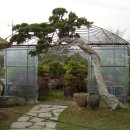 청솔농원 이미지