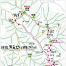 장성아파트 앞 티스토리