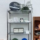 교동잡화 | 대구 교동 소품샵 추천｜홀리데이비지터샵 LP·문구·기념품 편집샵
