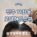 스켈피아 | 진주두피관리 로뎀헤드스파 문제정두피관리 후기