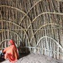 아프리카 어느 부족의 전통가옥 짖기 이미지