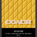 코우치리미티드 이미지