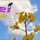 꽃피는날 이미지