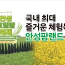 초록빛목장 이미지