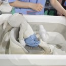 아이앤맘산부인과의원 이미지