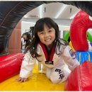 용인대영웅태권도장 이미지