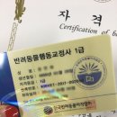 반려동물행동교정사 이미지