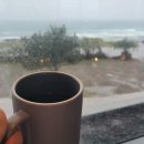 일월카서비스 이미지