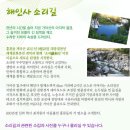 해인사소리길 이미지