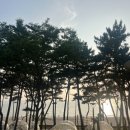 탑아일랜드 이미지