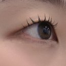 연신내속눈썹&왁싱 하니뷰 | [연신내속눈썹] 하니뷰 / 무쌍 펌앤연장 후기