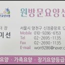 양천어르신 요양센터 이미지