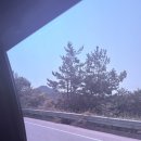 금호약국 | [8-1] 매주 이렇게 놀면 파산하겠지