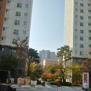 더샵동천포레스트 | 더샵 동천포레스트 (구. 더샵 파크사이드) 임장후기