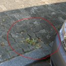 외동반림로 이미지