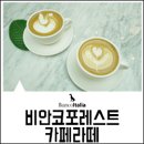 비안코 포레스트 이미지