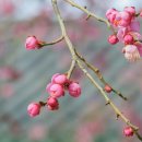 군산시립도서관지하1층 이미지