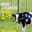 금정-10 이미지