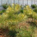 재일농원 이미지