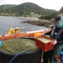 해조수산 이미지