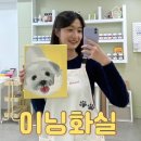 [수원 이닝화실] 미니캔버스 아크릴화 클래스 수강 후기