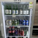 애견캠핑장 캠프정감 11번 사이트 후기 : 전 사이트 타프, 개별울타리, 애견운동장, 대형견가능