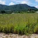 사암부동산공인중개사사무소 이미지