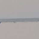 마린스테이 이미지