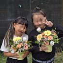 꽃그리다 네이버블로그
