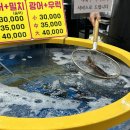 훔친물고기오늘바다에서 이미지