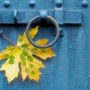 갈산고등학교 이미지