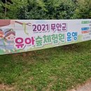 대죽도 유아숲체험원 이미지