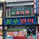 [충무로 노포 맛집] 연어 맛집 ‘충무연어’ 내돈내산 솔직후기 가성비가 미쳤어요