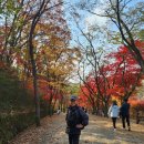 예술공원 수목원 입구 공중화장실 | 서울대 안양수목원