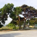 김이순농장 이미지