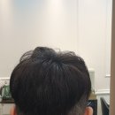팜스프링상가 - 파주시 금촌동 | 팜스프링상가