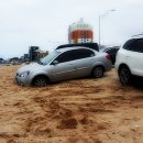 앨리스게스트하우스 이미지