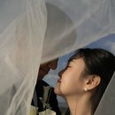 스냅라인 이미지