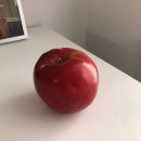 홍옥이네반찬 | 채담카레 순수람, 한 끼 식사, 1인 밥상