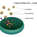 종로베스트의원 이미지