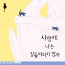 캣사랑