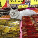 폴리파크 반송점 이미지